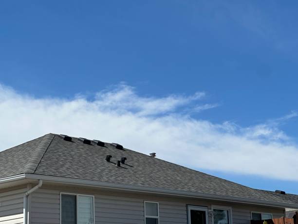 Fast & Reliable Emergency Roof Repairs in Newport, OH